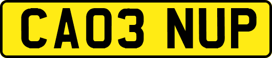 CA03NUP