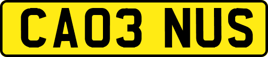 CA03NUS