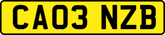 CA03NZB