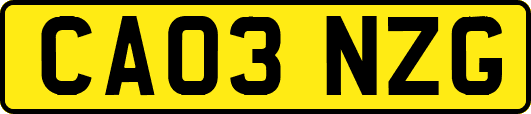 CA03NZG