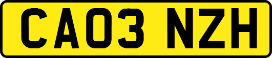 CA03NZH