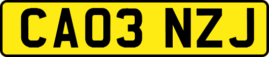 CA03NZJ