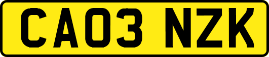 CA03NZK