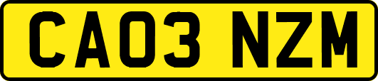 CA03NZM