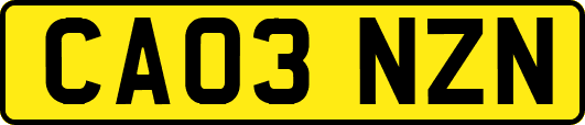 CA03NZN