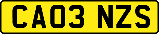 CA03NZS