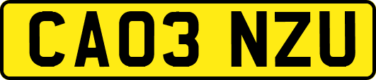 CA03NZU