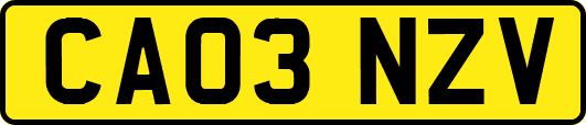 CA03NZV