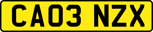 CA03NZX