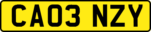 CA03NZY