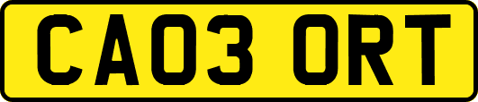 CA03ORT