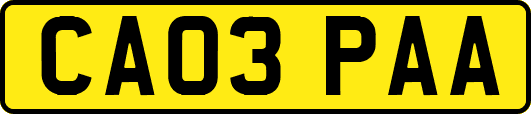 CA03PAA