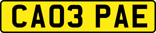 CA03PAE