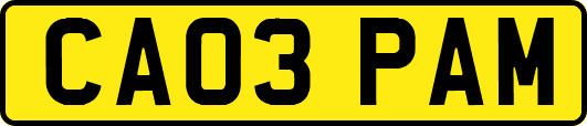 CA03PAM