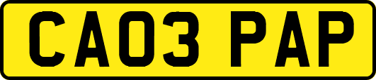 CA03PAP