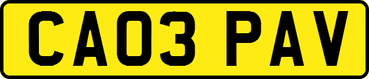 CA03PAV