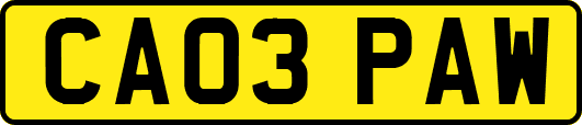 CA03PAW