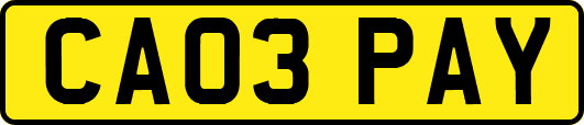 CA03PAY