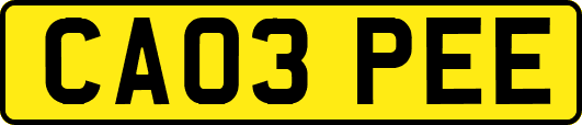 CA03PEE