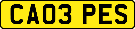 CA03PES