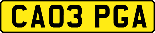 CA03PGA