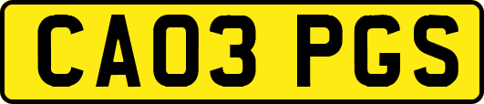 CA03PGS