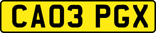 CA03PGX