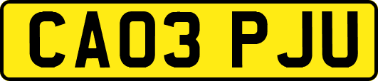CA03PJU
