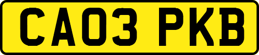 CA03PKB