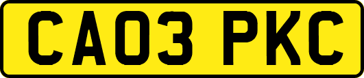 CA03PKC