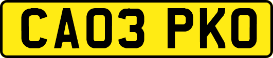 CA03PKO