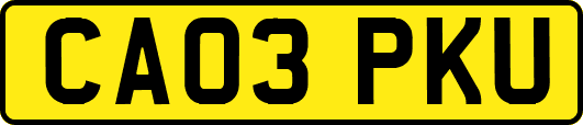 CA03PKU