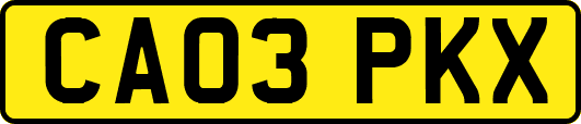 CA03PKX