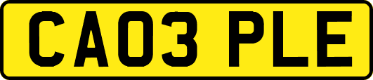 CA03PLE