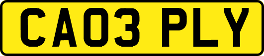 CA03PLY