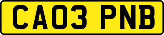 CA03PNB