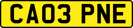 CA03PNE