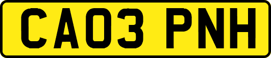 CA03PNH