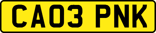 CA03PNK