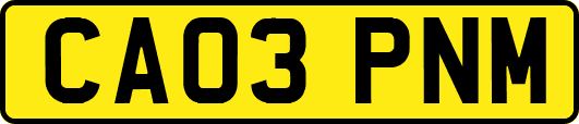 CA03PNM