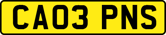 CA03PNS