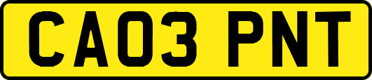 CA03PNT