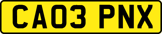 CA03PNX