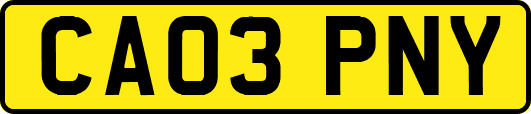 CA03PNY