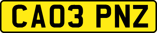 CA03PNZ