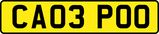 CA03POO