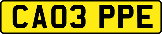 CA03PPE
