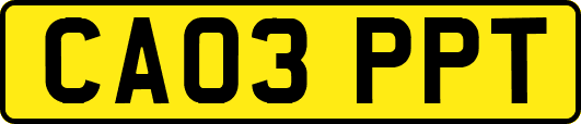 CA03PPT