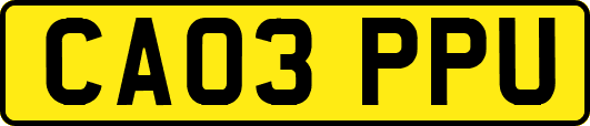 CA03PPU