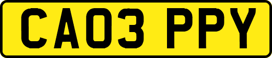 CA03PPY